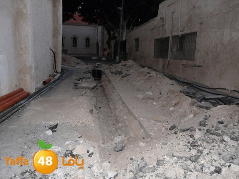 tarmem kanesa  1108 (4).jpg